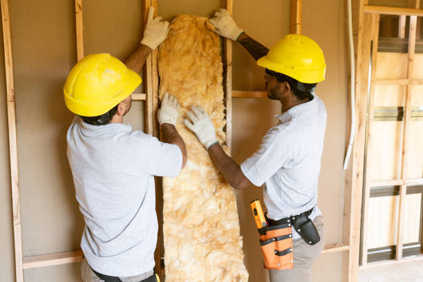 Best Insulation for New Construction  in Scott Af, IL